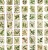 Naklejki winylowe Wlepy Botaniczne Ogród Rośliny 50 sztuk