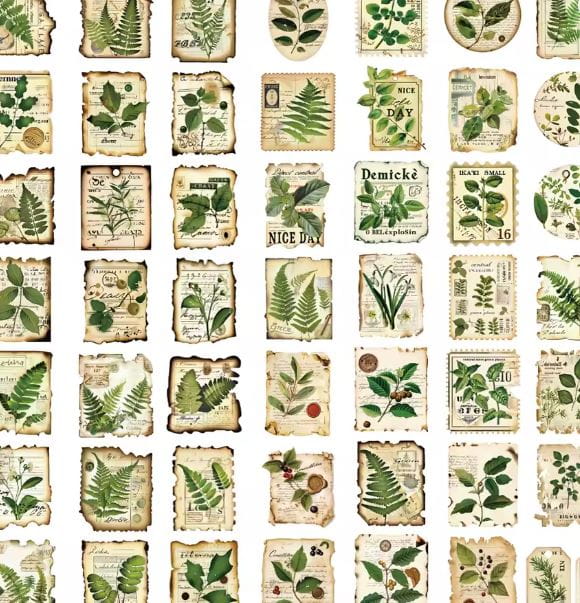 Naklejki winylowe Wlepy Botaniczne Ogród Rośliny 50 sztuk