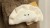 Brelok pluszowy pierożek kawaii 10cm