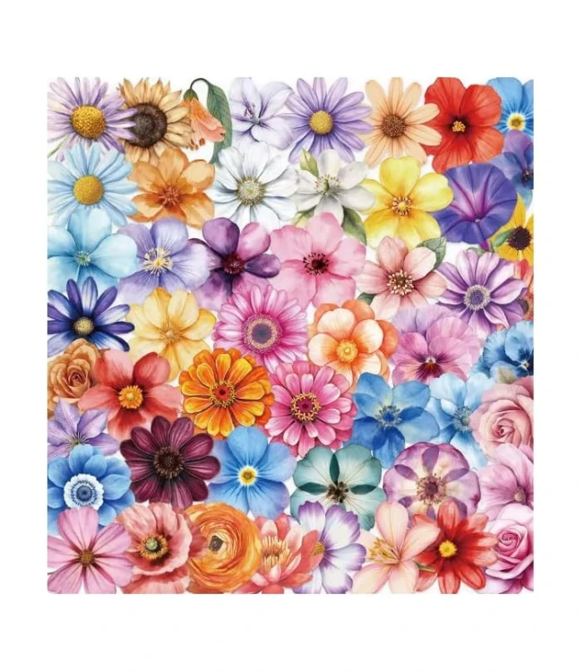 Naklejki winylowe Wlepy Kolorowe kwiaty MIX 50 sztuk Stickerbomb