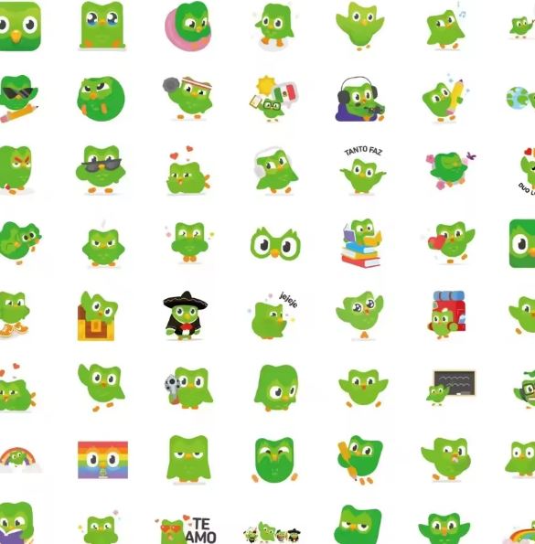 Naklejki winylowe Wlepy Duolingo Duo Nauka Języki 50 szt STICKERBOMB
