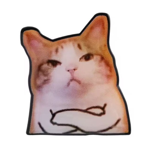 Przypinka emaliowana metalowa PIN Memowy Kot Śmieszne Memy