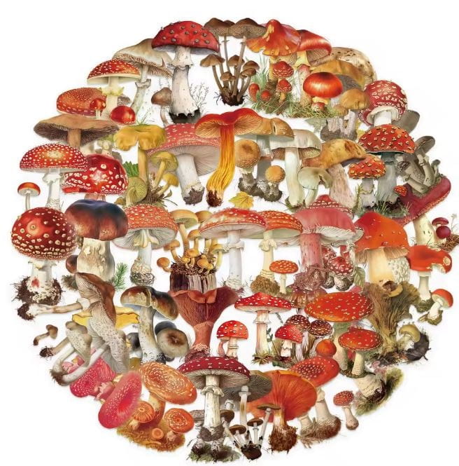 Naklejki winylowe Wlepy Grzyby Dary Lasu Jesień 50 szt STICKERBOMB