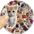 Naklejki winylowe Wlepy Śmieszne obrazki Memy MIX 50 sztuk STICKERBOMB
