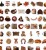 Naklejki winylowe Wlepy Jesienne Retro Jesieniara 50 sztuk STICKERBOMB