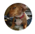 Przypinka button badzik badge Side-eye dog Memy Śmieszne obrazki 58mm