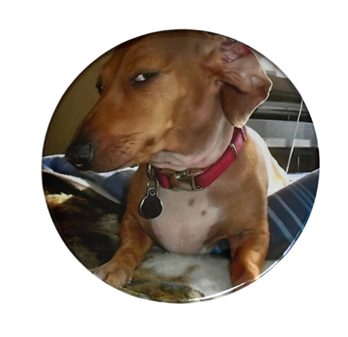 Magnes okrągły na lodówkę Side-eye dog Memy Śmieszne obrazki 58mm