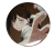 Przypinka button badzik badge Kobeni Higashiyama Chainsaw Man 58mm