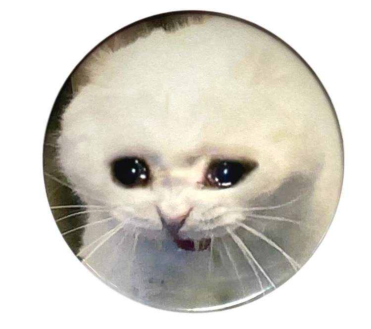 Przypinka button badzik badge Crying cat meme Memy Śmieszne obrazki 58mm