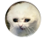 Magnes okrągły na lodówkę Crying cat meme Memy Śmieszne obrazki 58mm