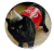 Magnes okrągły na lodówkę Coca-Cola Cat Meme Memy Śmieszne Obrazki 58mm