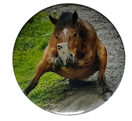 Przypinka button badzik badge Selfie Horse Koń Meme Memy Śmieszne Obrazki 58mm