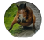 Przypinka button badzik badge Selfie Horse Koń Meme Memy Śmieszne Obrazki 58mm