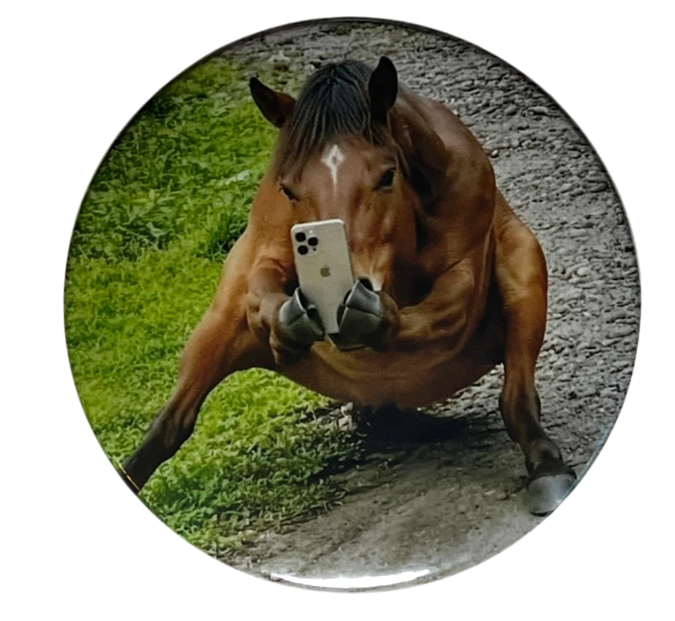 Przypinka button badzik badge Selfie Horse Koń Meme Memy Śmieszne Obrazki 58mm