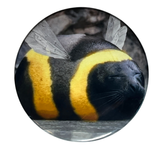Magnes okrągły na lodówkę Beeseal Meme Pszczoło-Foka Memy 58mm