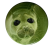 Magnes okrągły na lodówkę Seal Alien Glorp Meme Memy Śmieszne 58mm