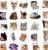 Naklejki winylowe Wlepy Zabawne Koty Śmieszne Memy 50 szt STICKERBOMB