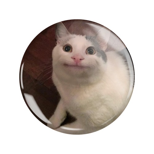 Magnes okrągły na lodówkę Meme Cat Memowy kot Memy Śmieszne obrazki 58mm