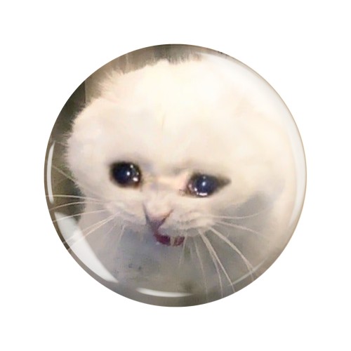 Magnes okrągły na lodówkę Crying cat meme Memy Śmieszne obrazki 58mm