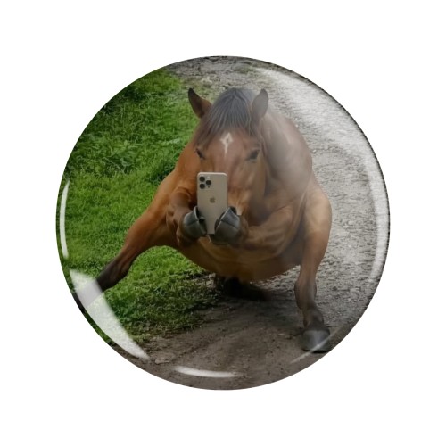 Magnes okrągły na lodówkę Selfie Horse Koń Meme Memy Śmieszne Obrazki 58mm