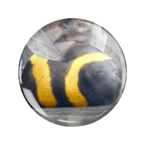 Magnes okrągły na lodówkę Beeseal Meme Pszczoło-Foka Memy 58mm