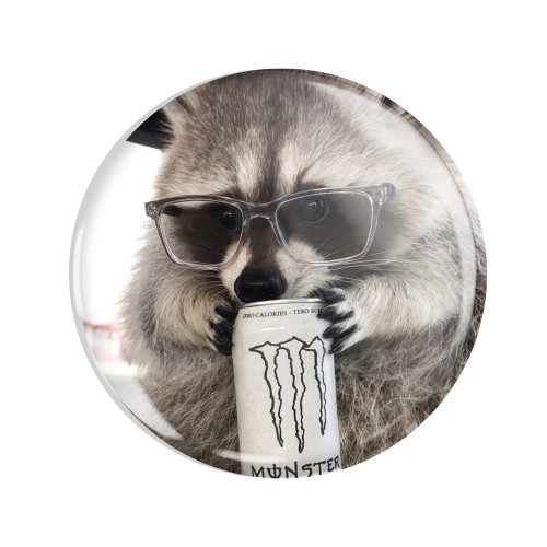 Magnes okrągły na lodówkę Szop Okularnik Monster Meme Memy 58mm