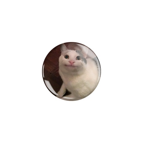 Przypinka button badzik badge Meme Cat Memowy kot Memy Śmieszne obrazki 32mm
