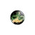 Przypinka button badzik badge Smok Shenlong Dragon Ball ver.2 32mm