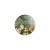 Przypinka button badzik badge Mój sąsiad Totoro Studio Ghibli ver. 5 32mm