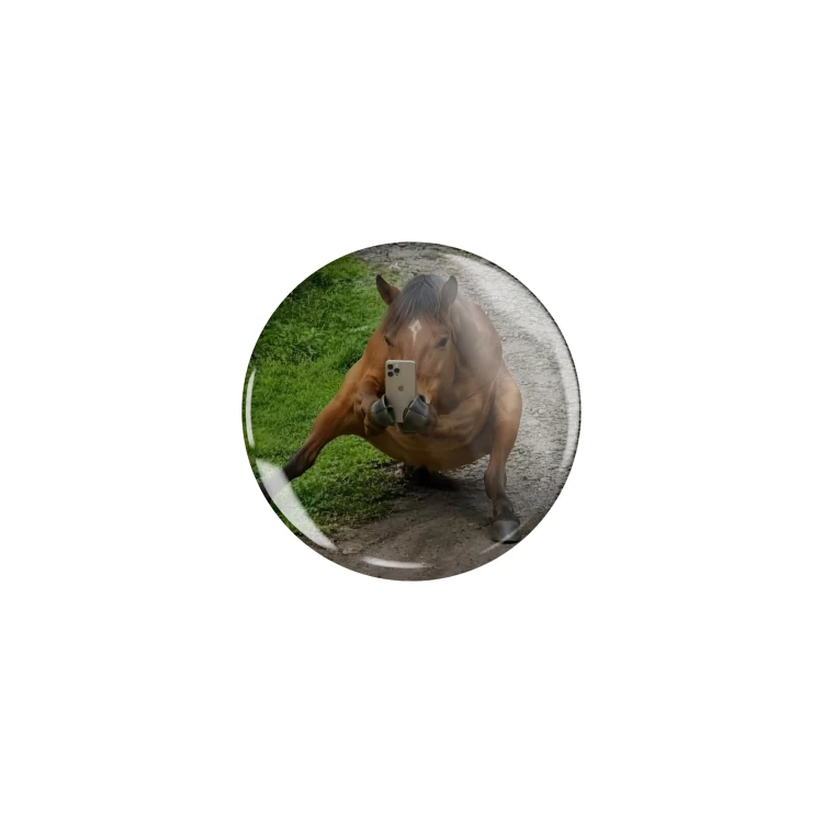 Przypinka button badzik badge Selfie Horse Koń Meme Memy Śmieszne Obrazki 32mm