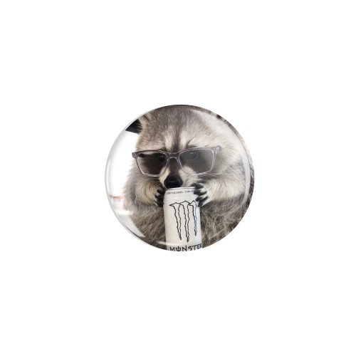 Przypinka button badzik badge Szop Okularnik Monster Meme Memy 32mm