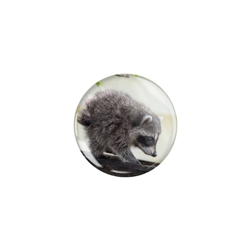Przypinka button badzik badge Szop krótki Jimothy ver. 1 Memy 32mm