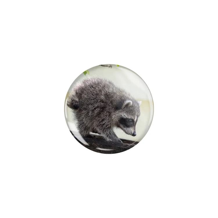 Przypinka button badzik badge Szop krótki Jimothy ver. 1 Memy 32mm